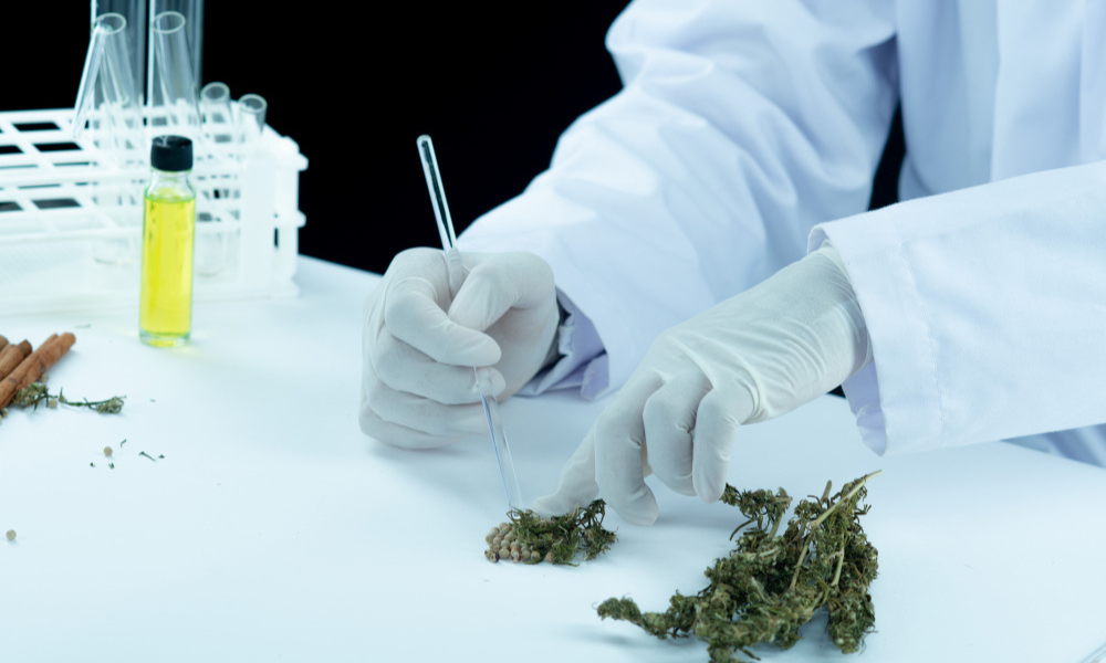 What Is THC? A Beginner’s Guide for UK Cannabis Users