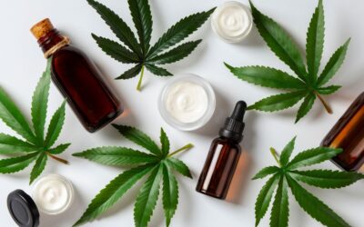 %THC Cannabis %THC Flowers & THC Edibles