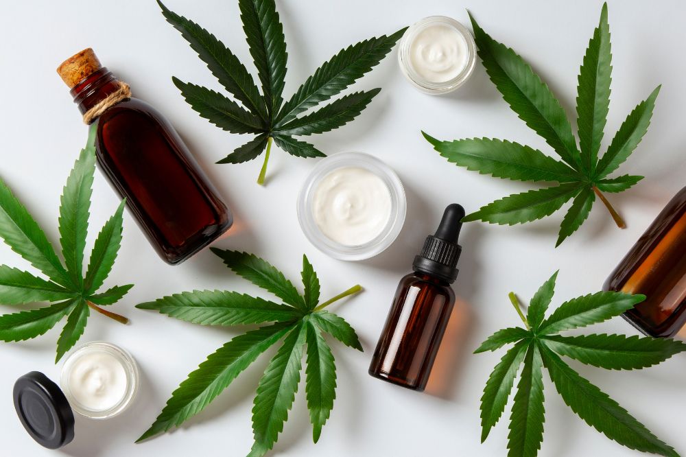 THC vs CBD: What’s the Difference and Which Is Right for You?